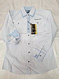 Сорочка блакитна для хлопчика 146,152 зросту Blueland Туреччина, фото 2