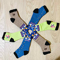Шкарпетки дитячі зимові махрові бавовна Житомир ТМ Premium розмір 20-22(32-34) асорті