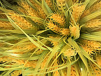 Пшеница (колосок) латексная ветка 25 см