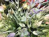 Штучні квіти для декору колючка (гілка 25 см), фото 3