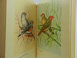 Жердівл Е. Перната веселка (б/у)., фото 6