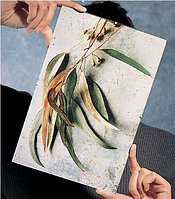 Фоторамка-кліп (антирама, клеммерная) Склопластик - для грамот, дипломів, сертифікатів, фото! Elf, 18х24 див.