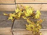 Ліана листя клена жовтого і червоного, фото 2
