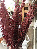 Кущ папороті штучний червоний 52 см, фото 3