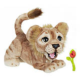 Англомовний Симба Король Лев FurReal Friends Hasbro Disney The Lion King Mighty Roar Simba, фото 3