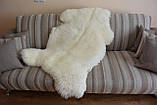 Овеча шкiра, овеча шкура, фото 2