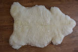 Овеча шкiра, овеча шкура, фото 5