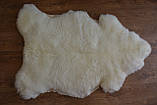Овеча шкiра, овеча шкура, фото 4