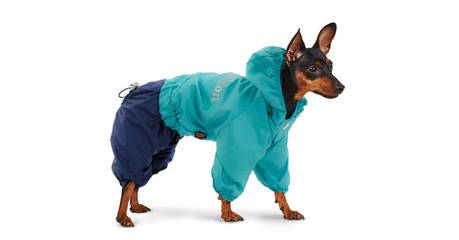 Дощовик Pet Fashion "Бінго" бірюза/ синій XS, фото 1