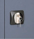 Шафа інструментальна ШИ-10/3П/3В, фото 3