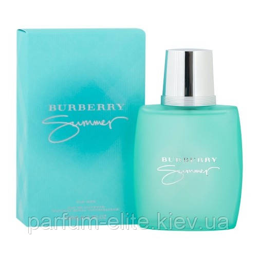 Чоловіча туалетна вода Burberry Summer for Men 2013 100ml (test)
