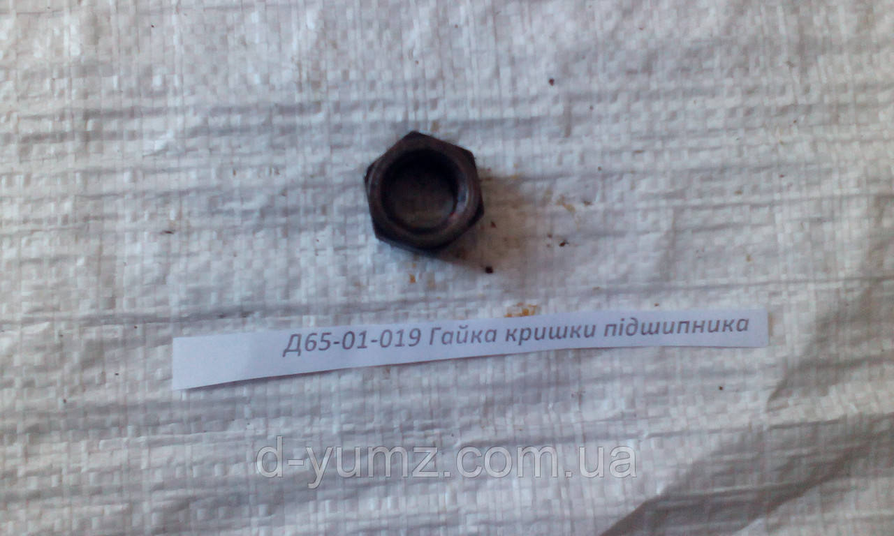 Гайка кришки підшипника ЮМЗ Д65-01-019 , фото 1