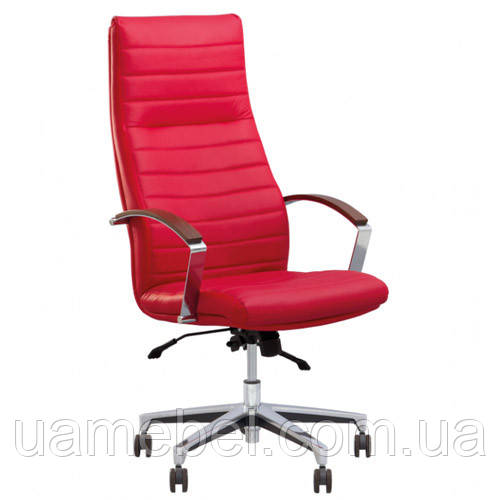 Крісло для керівника IRIS (ІРИС) ANYFIX LE, фото 1