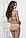 Комплект жіночої білизни пуш-ап Jasmine (Жасмин) 1161/97 Rein, фото 2