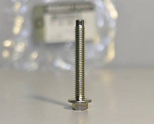 Болт кріплення розподільчого валу на Renault Lodgy 2012-> — Renault (Оригінал) - 7703002666