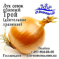 Цибуля сівок озима Трой F1 (Troy) Голландія, 1 кг