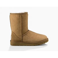 Женские Угги Classic II Short Chestnut/ UGG Australia классик Орехового цвета