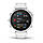 Смарт-годинник Garmin Fenix 6S - Silver with White Band, фото 4