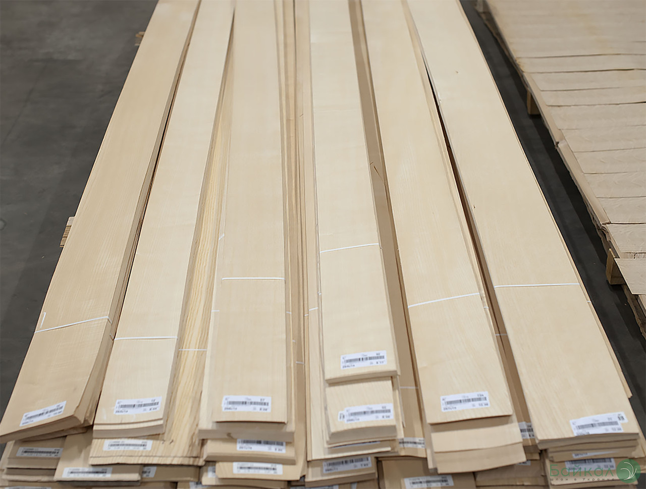 Шпон з деревини Ясен Білий Європейський - 0,6 мм I ґатунок - довжина від 2,1 до 3.80 м / ширина від 10 см+
