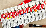 Професійний набір масляної фарби Winsor & Newton 12 кольорів, фото 11