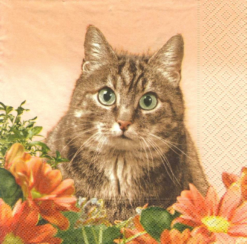 Серветка декупажна Кіт у квітах 4797