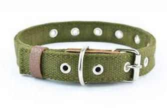 BeFore The Times Нашийник брезент подвійний