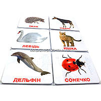 Подарунковий набір ломінованих карток Домана Світ тварин Випуск 1 Вундеркінд з пелюшок укр мова, фото 5