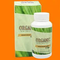 Wheatgrass - витамины для волос от Organic Collection (Витграсс) 450.0 г. Индия