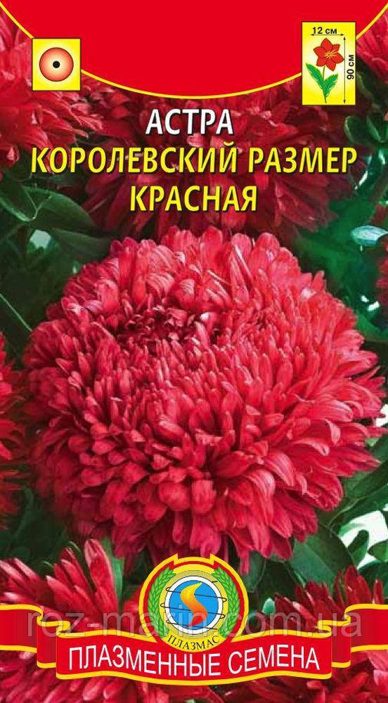 Астра Астра Королевский Размер Красная 0,1 Г Красные (Плазменные Семена ...