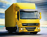 Лобове скло DAF LF 45, 55, 45/55 (Вантажівка) (1999-),триплекс, фото 2