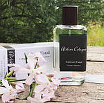 Atelier Cologne Vetiver Fatal одеколон 100 ml. (Ательє Колонь Ветивер Фаталь), фото 4