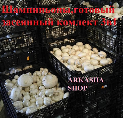 Компост шампиньона - купить недорого на Prom.ua: цены, акции и отзывы ...