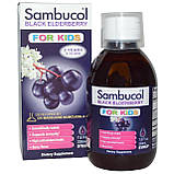 Sambucol, Чорна бузина, Сироп для дітей, з ягідним смаком, 7.8 рідких унцій (230 мл) Київ, фото 3