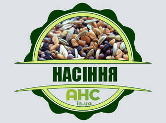 Насіння