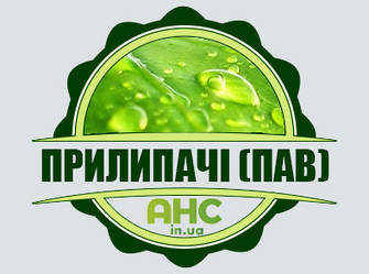 Прилипачі (ПАР)