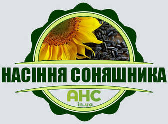 Насіння Соняшнику