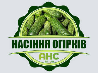 Насіння Огірків