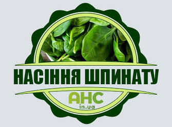 Насіння Шпинату