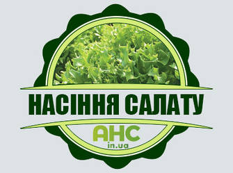 Насіння Салату