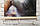 Обігрівач-картина інфрачервоний настінний ТРІО 400W 100 х 57 см, котенята, фото 2