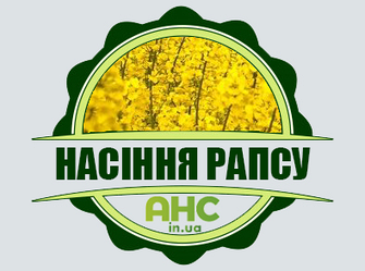 Насіння ріпаку