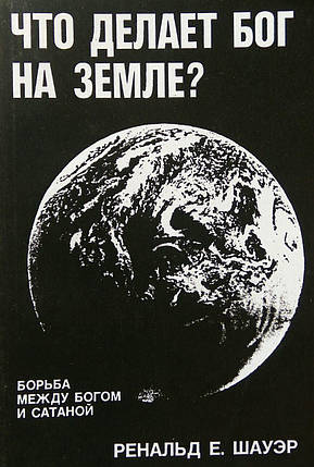 Що робить Бог на землі Ренальд Е. Шауер, фото 1