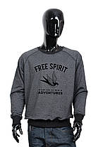 Світшот стильний чоловічий із принтом "Free spirit", фото 3