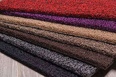 Бар'єрні килими для передпокою