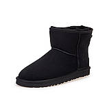 Замшеві класичні міні уги UGG Australia (Classic mini Boot),36,37, фото 2