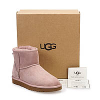 Замшевые классические мини угги UGG Australia (Classic mini Boot) ,36 размер в наличии