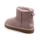 Замшеві класичні міні уги UGG Australia (Classic mini Boot),36 розмір у наявності, фото 3