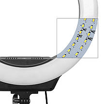 Кільцева світлодіодна лампа AFI R216, кільцевої LED світло 3000-6500К, фото 3