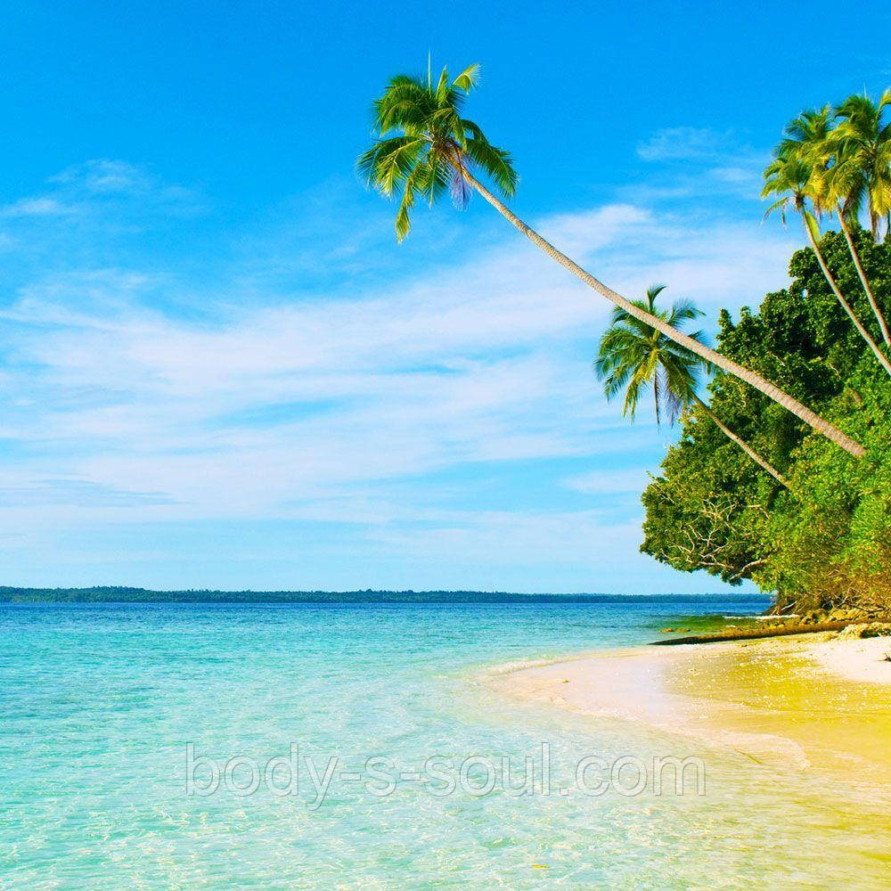 Косметична віддушка Island Escape №25, про-ль США (Brambleberry), ваніль 0,60%
