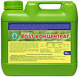 Rost — концентрат 15+7+7 (1 л), фото 3